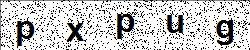 CAPTCHA code image